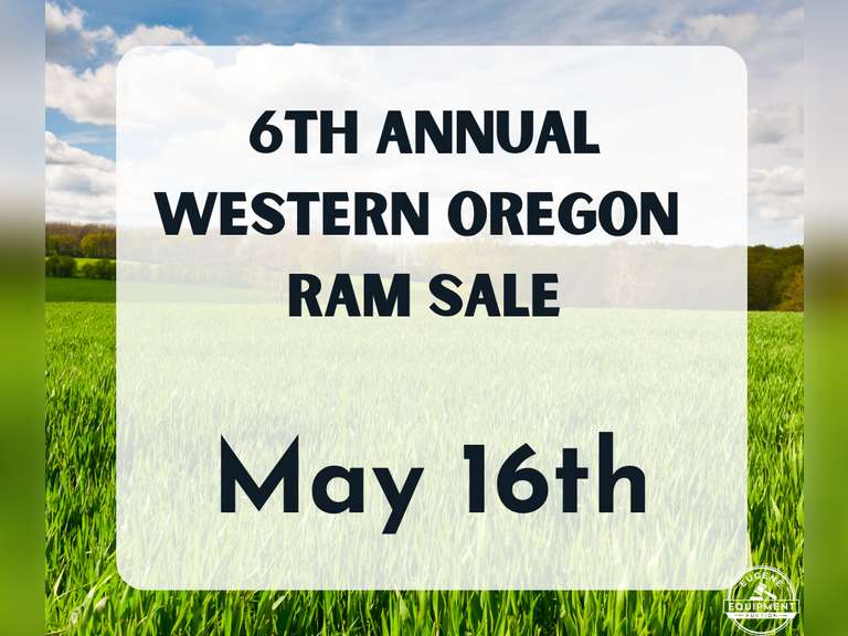 Western Oregon Ram Sale