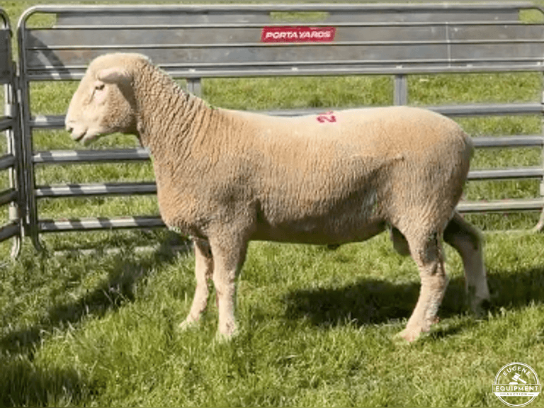 Dorset 0688