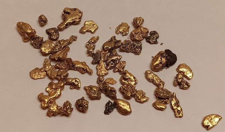 24k Alaskan Placer Gold Nuggets, 9.8 Grams, Straight Out Of The Mine!