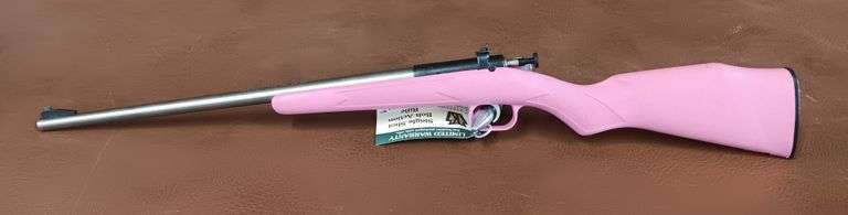 Keystone Sporting Arms Crickett .22LR SS Rifle
