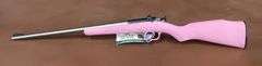 Keystone Sporting Arms Crickett .22LR SS Rifle