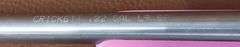 Keystone Sporting Arms Crickett .22LR SS Rifle
