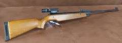 RWS Model 45  .177 Pump Pellet Gun