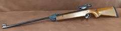 RWS Model 45  .177 Pump Pellet Gun