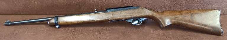 Ruger Model 10/22 .22LR Rifle