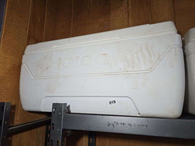LARGE IGLOO MAXCOLD COOLER.