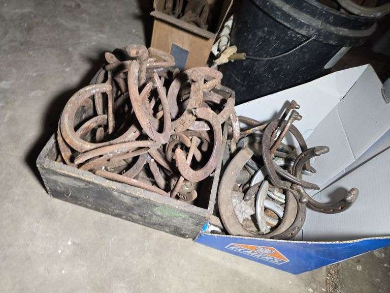 LARGE GROUP OF HORSESHOES.