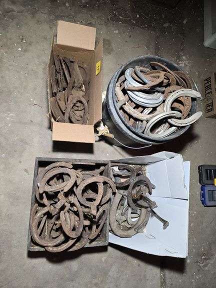LARGE GROUP OF HORSESHOES.