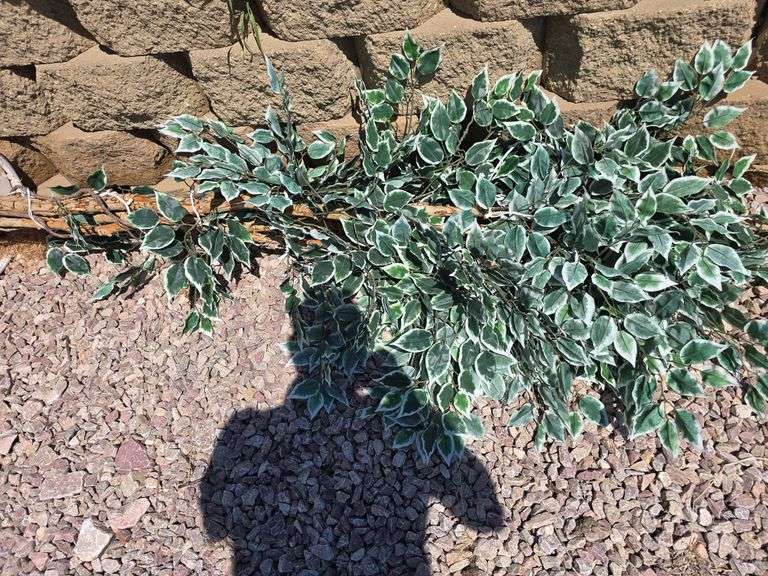 FAUX TREE.