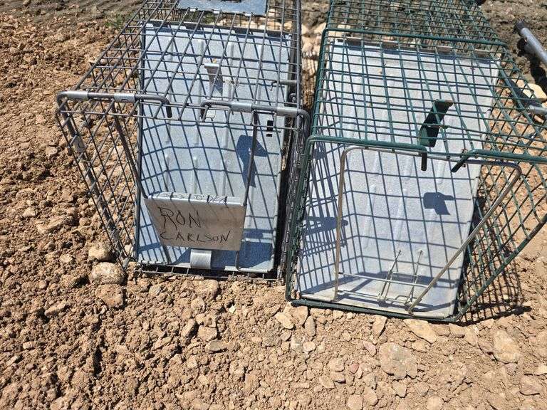2- LIVE TRAPS.