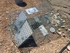 2- LIVE TRAPS.