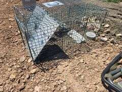 2- LIVE TRAPS.