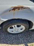 1997 CHRYSLER SEBRING JXI. 2.5L V6. AUTO. FRONT WHEEL DRIVE. CONVERTIBLE. INFINITY SOUND SYSTEM. 129K MILES. TRANS SERVICED AT 105K. A/C NEEDS CHARGED. TUNE UP.  ALL 4 TIRES HAVE BEEN REPLACED WITH USABLE TIRES. NEW PICS OF TIRES WILL BE UPLOADED ON THE 15TH.***THIS VEHICLE SELLS WITH TITLE.***