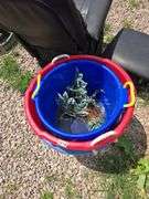 LARGE PLASTIC BUCKETS.