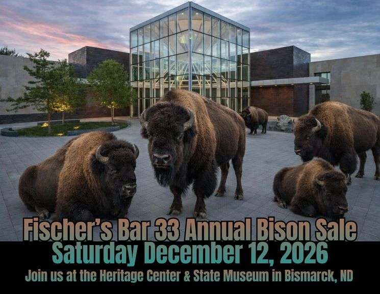 Fischer's Bar 33 Annual Bison Sale 
