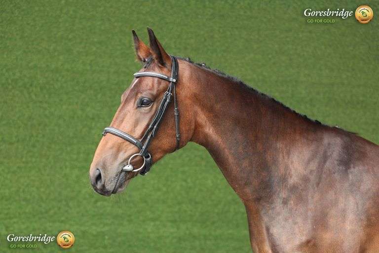 CREEVYQUIN FORTHARGOS