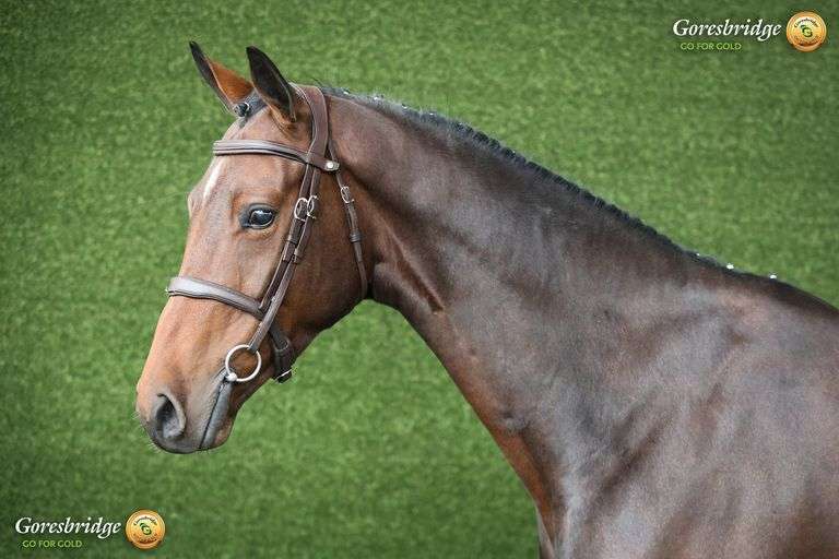 RATHNAGEERA MBF RUBON