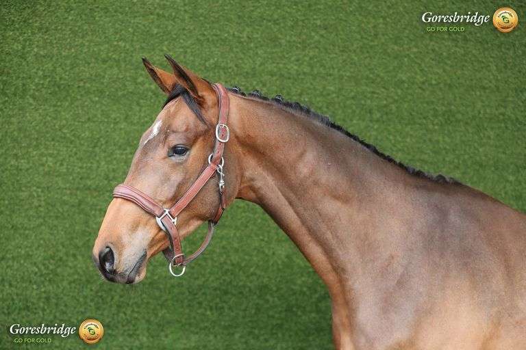 GRANTSTOWN MOONSHINE