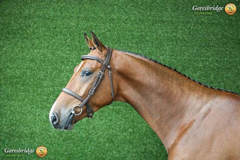 SIRREL VAN DE TJONGERSHOEVE