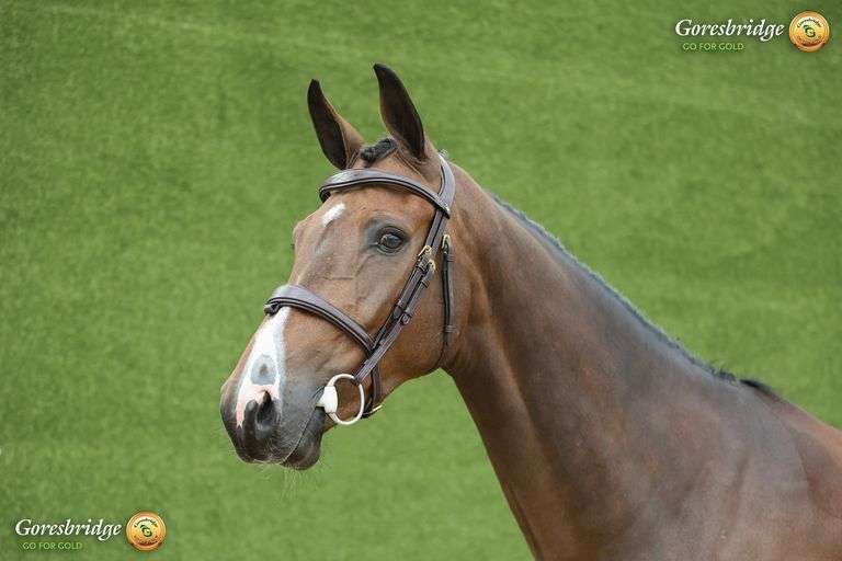 SPRINGROVE SATISFACTION