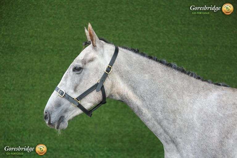 CRAANTOWER DIAMANT BLUE