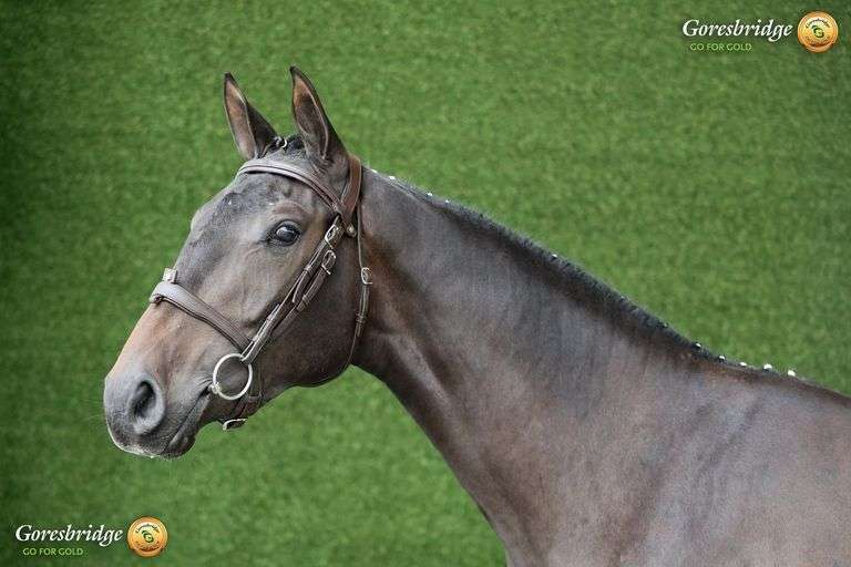 LONGFORD PASS EL QUALITY