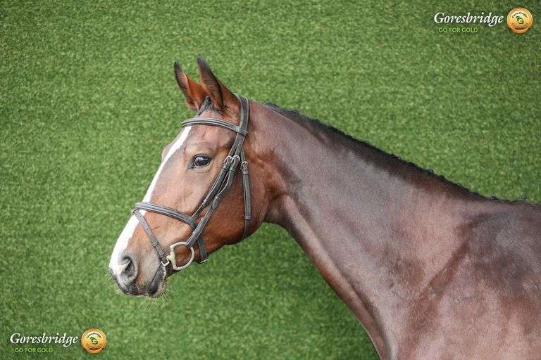 TULLIBARDS IRISH RUMOR