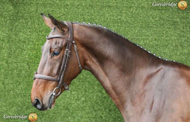 MBF HOUDINI LAST WORDS