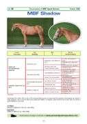 MBF SHADOW