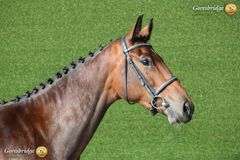 CREEVYQUIN FORTHARGOS