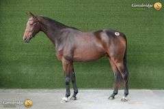 RATHNAGEERA MBF RUBON