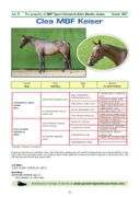 CLEA MBF KEISER