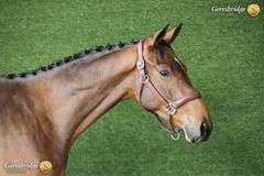 GRANTSTOWN MOONSHINE