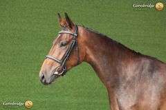 CREEVYQUIN FORTHARGOS