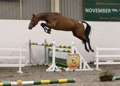 SIRREL VAN DE TJONGERSHOEVE