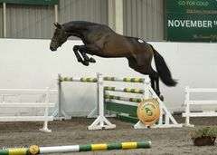 CARRIGSHAWN CORNETINO