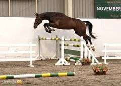 TULLIBARDS IRISH RUMOR