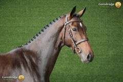 RATHNAGEERA MBF RUBON