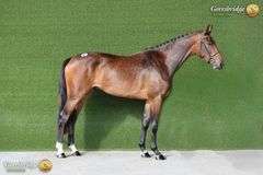 CREEVYQUIN FORTHARGOS