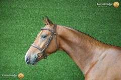 SIRREL VAN DE TJONGERSHOEVE