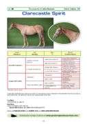 CLARECASTLE SPIRIT