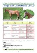 HUGO VAN DE HEFFINCK CAVZ