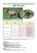 BP VORADO