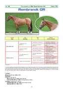 REMBRANDT GR