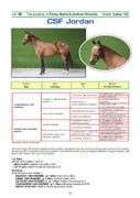 CSF JORDAN