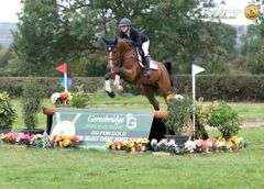 HUGO VAN DE HEFFINCK CAVZ