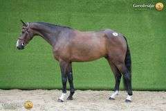 SPRINGROVE SATISFACTION