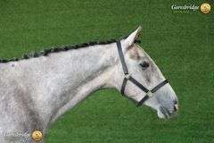 CRAANTOWER DIAMANT BLUE