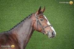 TULLIBARDS IRISH RUMOR