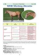 MHB MONBEG ALICANTE